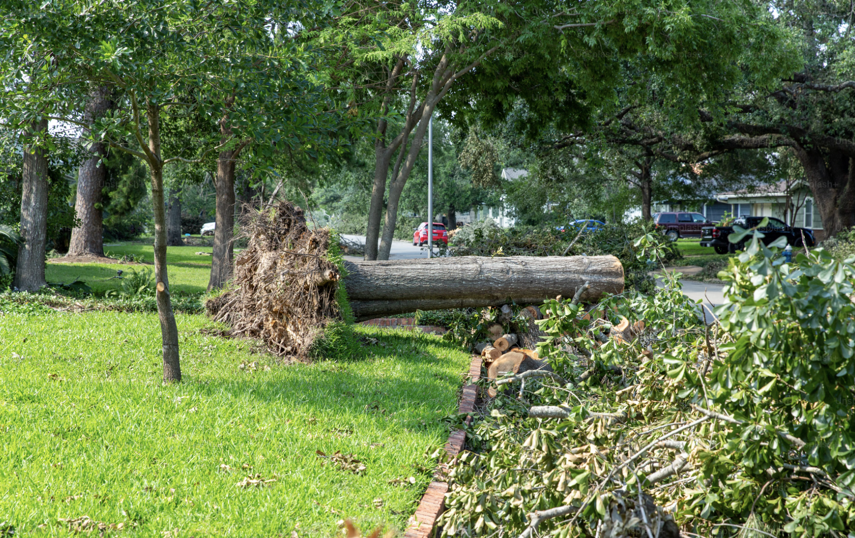 storm debris